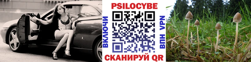 Галлюциногенные грибы MAGIC MUSHROOMS где найти наркотики Новое Девяткино